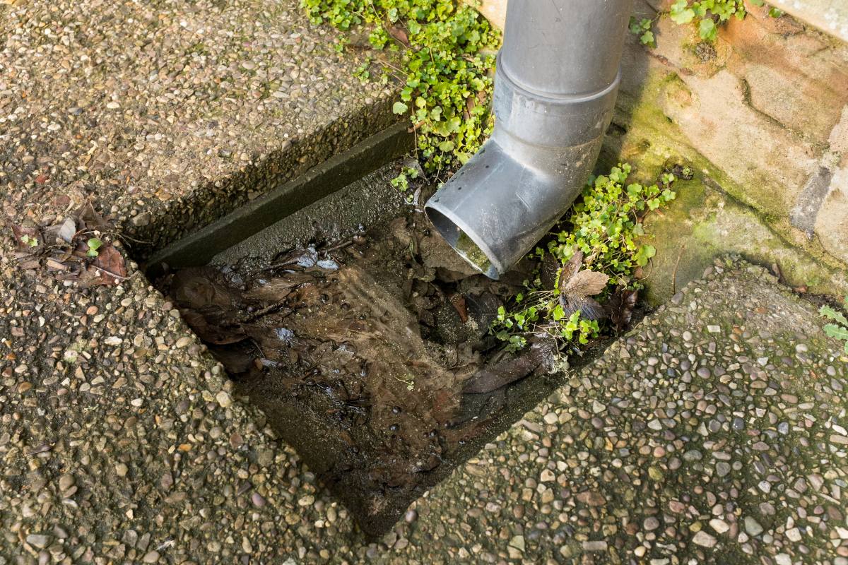 Blocked Drain Problems: How to Identify and Solve Them